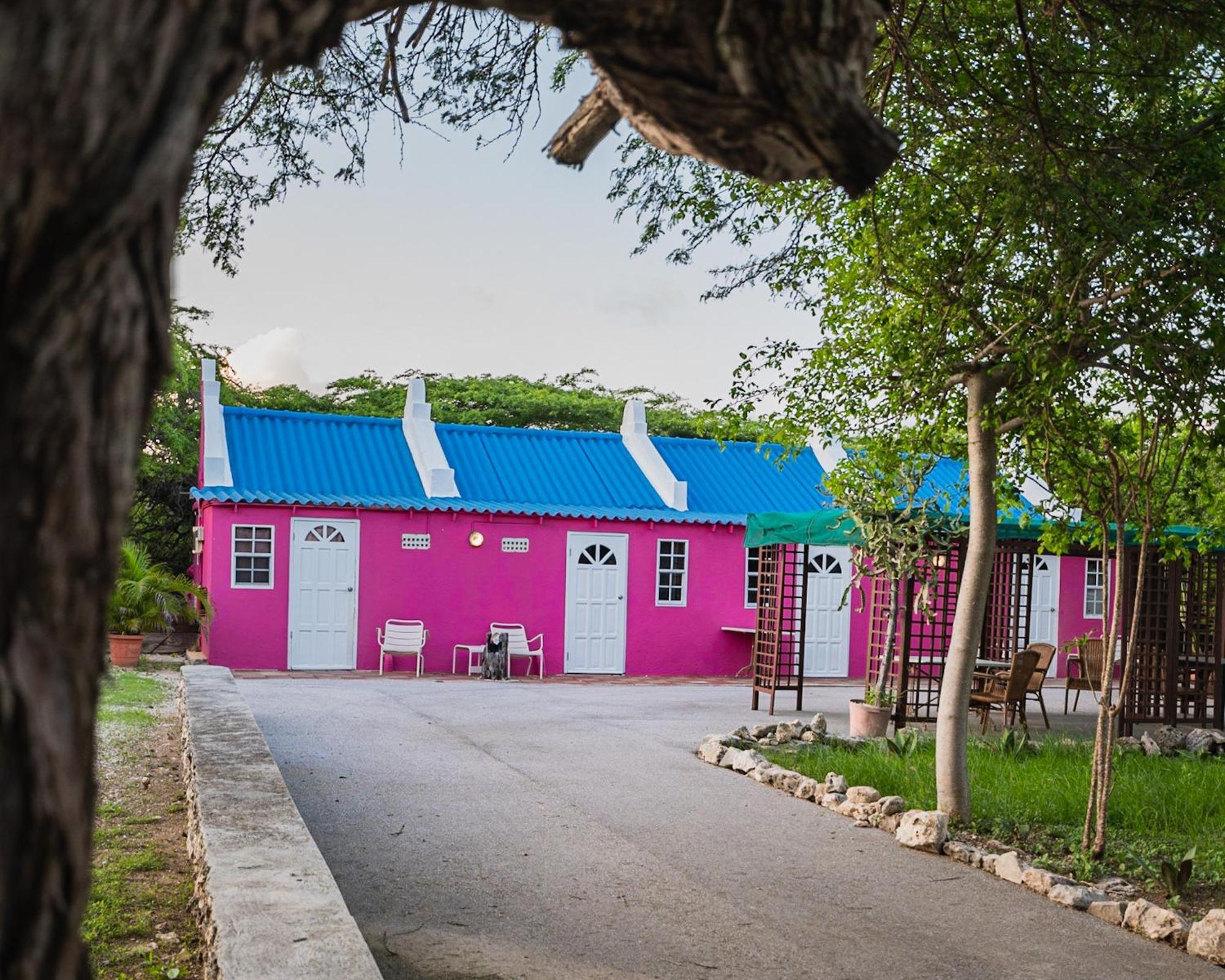 Landhuis Daniel - Plantation House Tera Kora ภายนอก รูปภาพ
